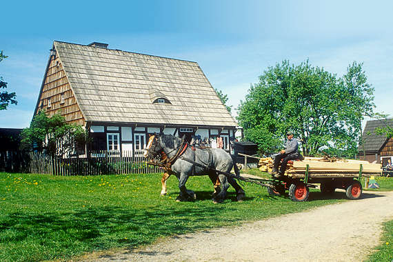 Freilichtmuseum Seiffen Pferde